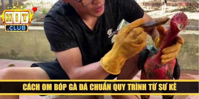 Cách om bóp gà đá chuẩn quy trình từ sư kê